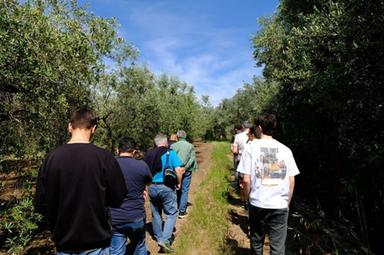 Un contest di foto e video per rendere protagonista l'olio campano