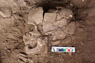 L'uomo faceva uso di sostanze psicoattive già 25mila anni fa
