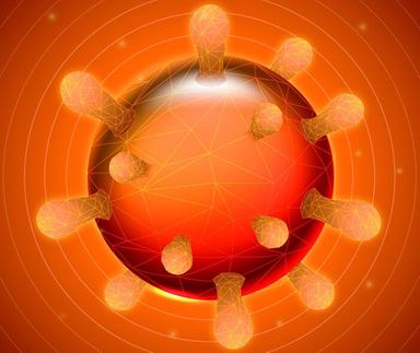 Nell'antenna delle cellule la chiave per i difetti del cuore