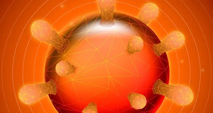 Nell'antenna delle cellule la chiave per i difetti del cuore
