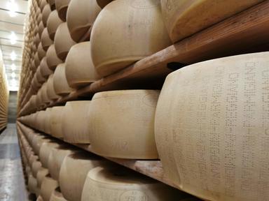 Consorzio Parmigiano Reggiano, con il caldo la produzione non è a rischio