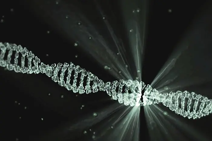 Individuato un gene alleato dei tumori, li aiuta a riparare il loro Dna