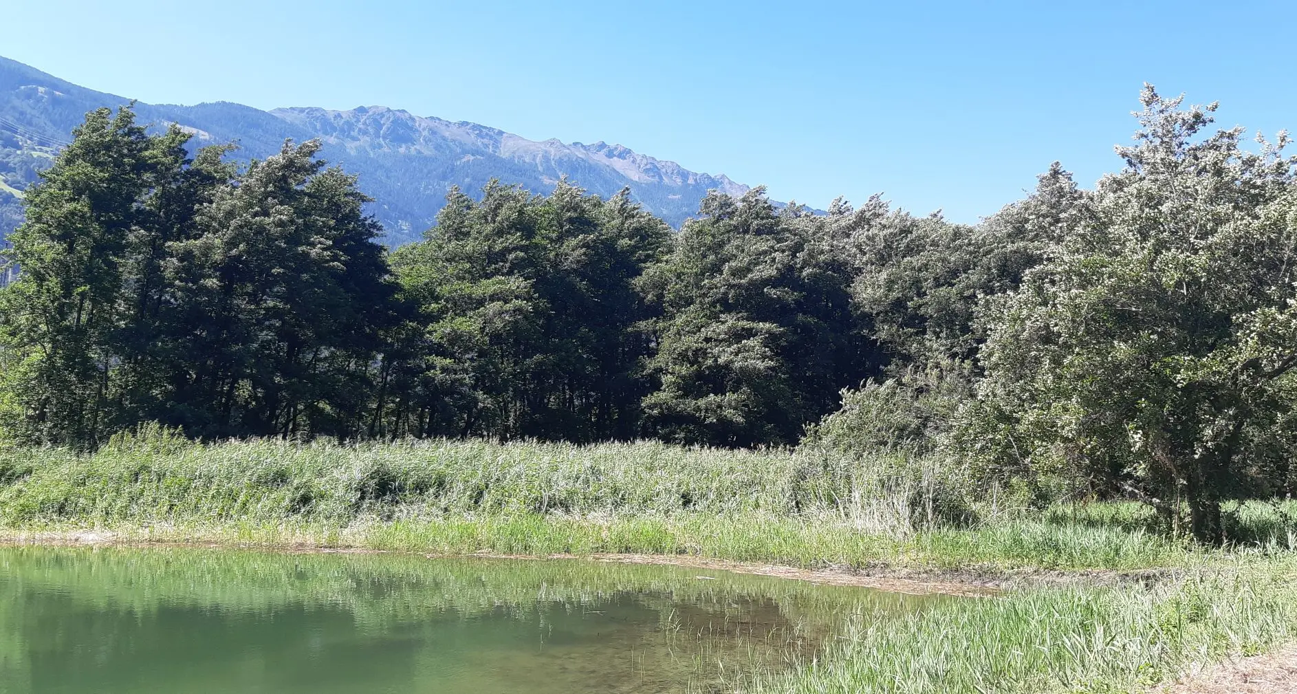 Dalle Dame Inglesi a Bolzano: ompletati i lavori al biotopo Englisch Moos di Naturno