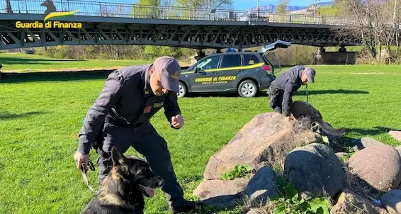 Tenta la fuga, arrestato sui Prati del Talvera con 30 grammi di cocaina