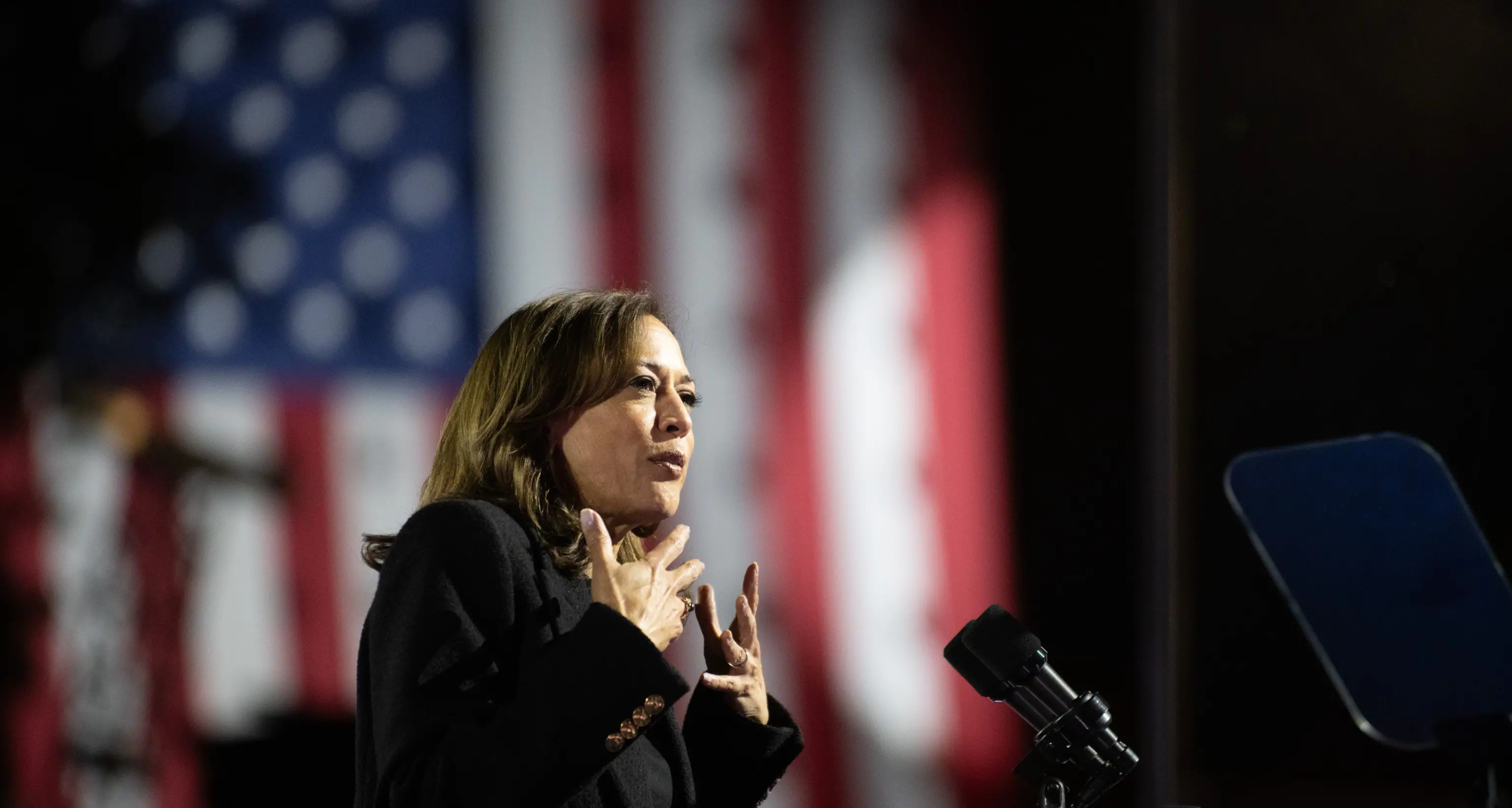 Usa 2024, Harris: 'Sono elezioni serratissime, ogni voto conta'