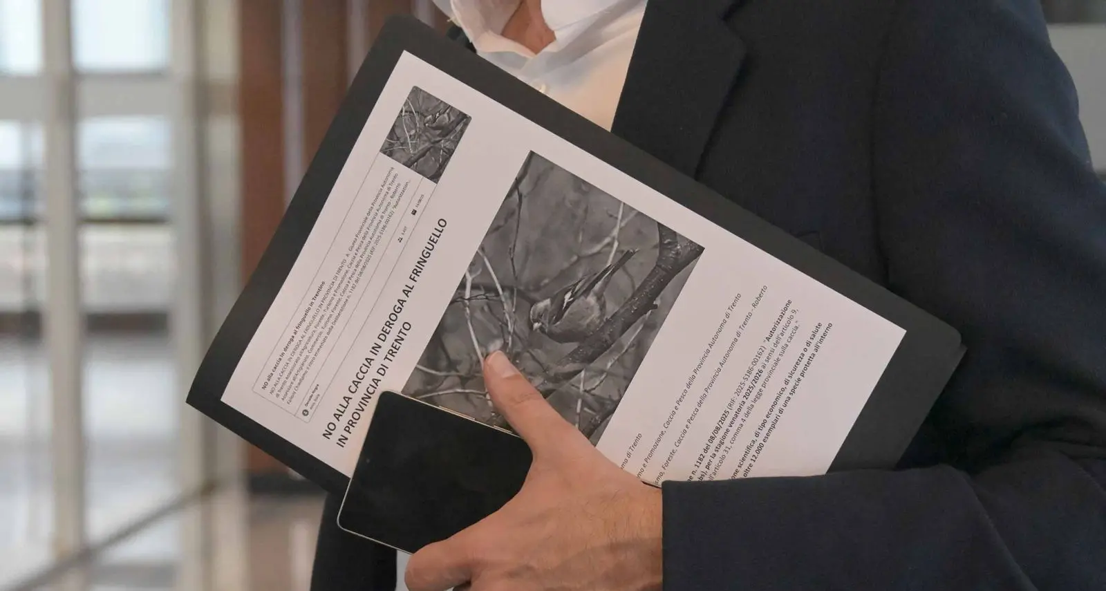 Consegnate 6.500 firme dalle associazioni ambientaliste all’assessore Roberto Failoni: \"Deroga al fringuello senza basi: chiediamo l'immediato annullamento\"