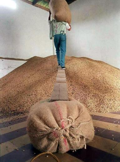 Colombia, oltre 8mila produttori di caffè danneggiati dal terremoto