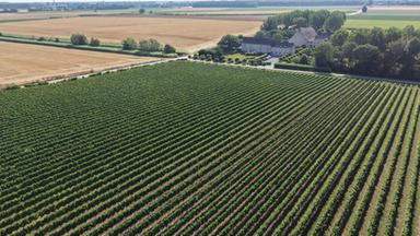 Il futuro dell'agricoltura parte dal suolo, 250 giovani scelgono vie dell'innovazione