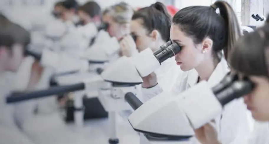 Formare oggi i professionisti di domani, tra sfide e innovazione