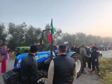 Lollobrigida, nel dl 60 milioni per il carburante agricolo, a brevissimo a imprese