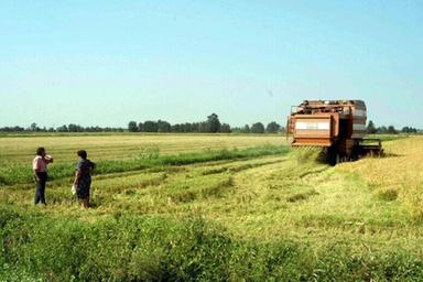 Via libera Ue a 285 milioni di aiuti dell'Italia ad imprese agricole e della pesca