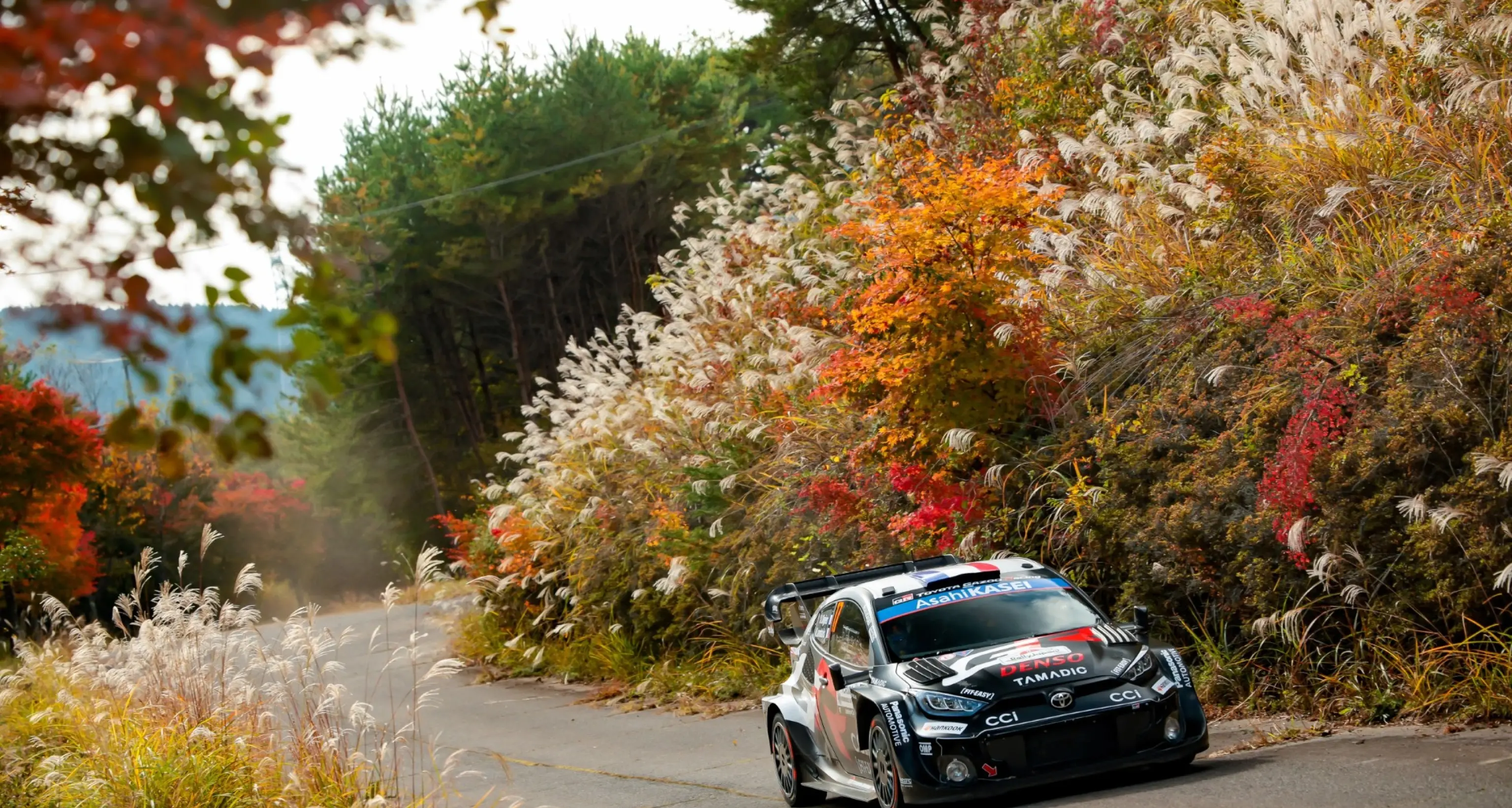 Rally: Ogier campione del mondo per la nona volta, eguaglia Loeb