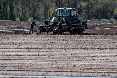 Agea, domande entro il 30 settembre per il bonus gasolio agricoltura