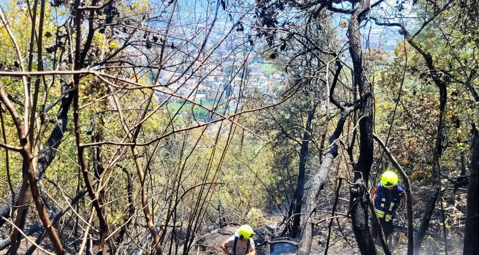 Guncina, si sospetta il dolo. Blaas: «Quattro roghi in pochi giorni sempre nella stessa zona»