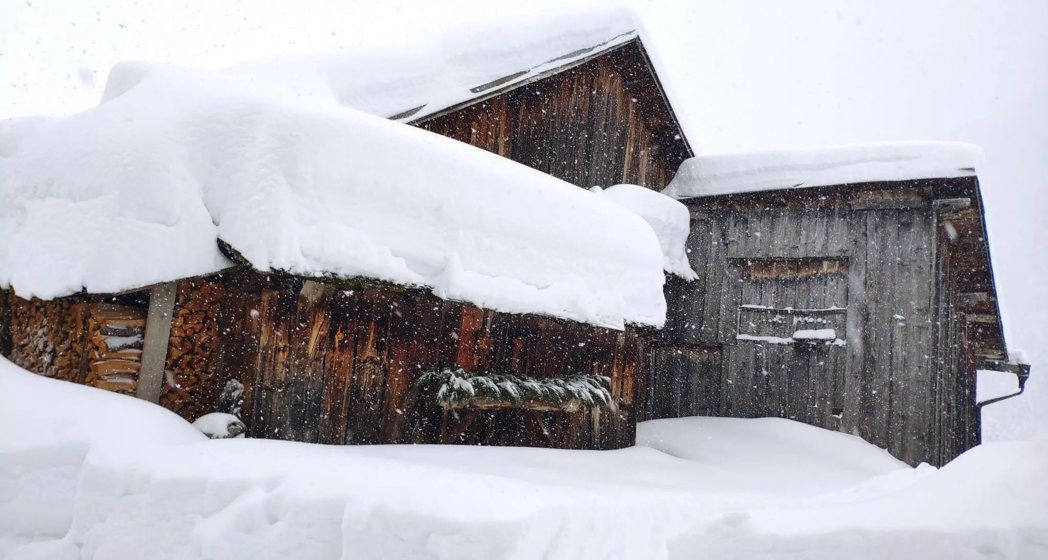 Il Föhn in città, la primavera a Natale