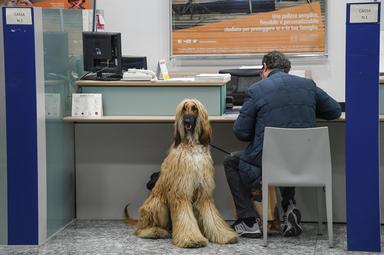 E' caro conto-corrente, la spesa è salita del 23% in 10 anni