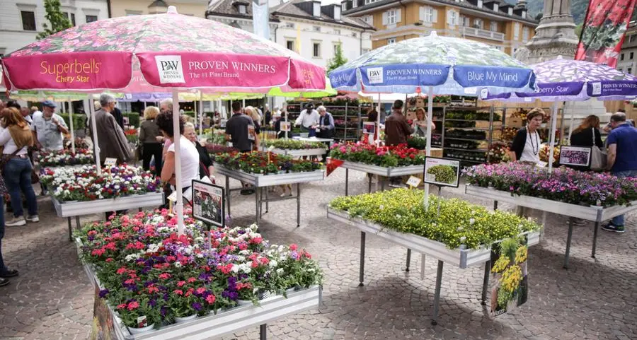 Bolzano, la Festa dei Fiori compie 135 anni: un giardino di emozioni a portata di città