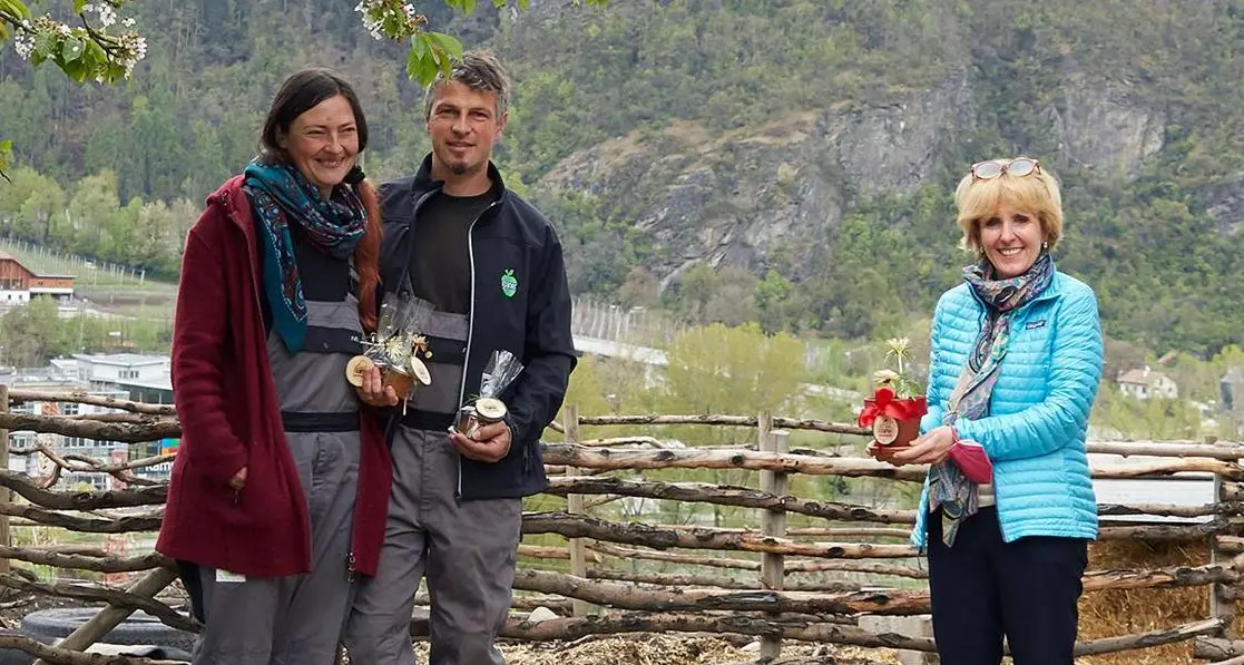 Il maso speciale che ospita un centro per bambini altamente sensibili