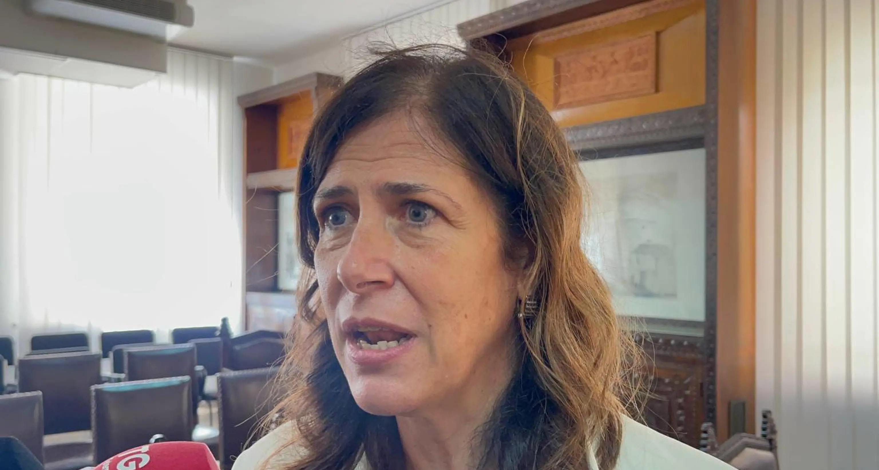 Consulta: Todde, 'fondate le ragioni del ricorso della Sardegna'