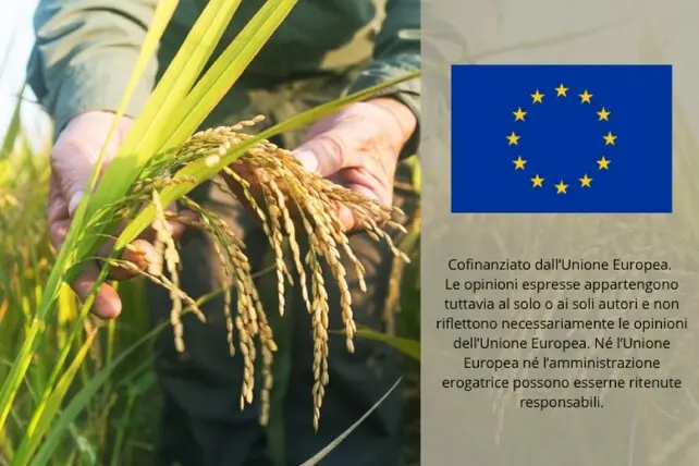 Ok Ue a 20 milioni di aiuti alle imprese agricole del Friuli Venezia Giulia