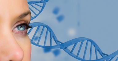Dall'optogenetica i primi risultati su una malattia della retina