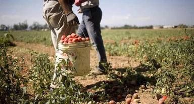 Lavori usuranti e salute, un nuovo indice per valutare il peso delle mansioni