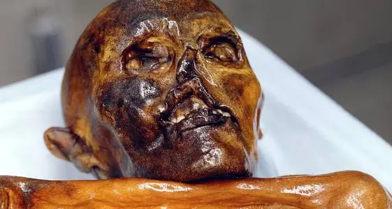 Il Coronavirus non risparmia i musei, nel 2020 più che dimezzati gli ingressi