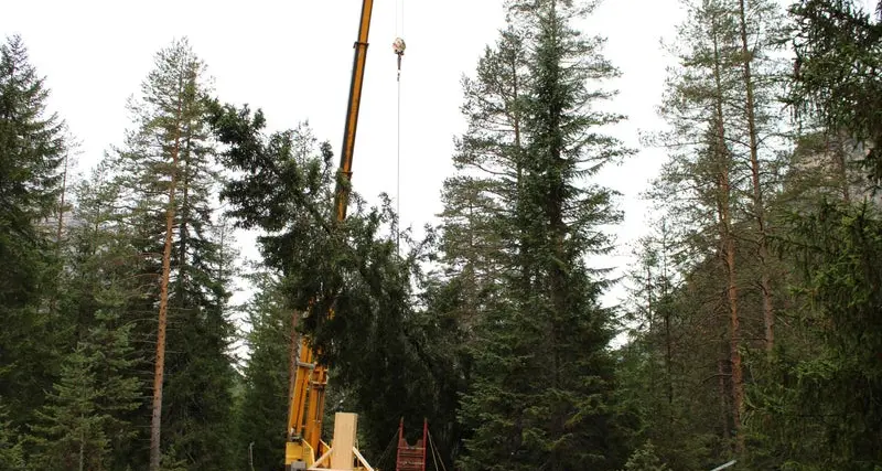 L'albero di Natale per Vienna è altoatesino