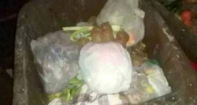 Pannolini e nylon nell’umido: a rischio il servizio smaltimento di Salorno