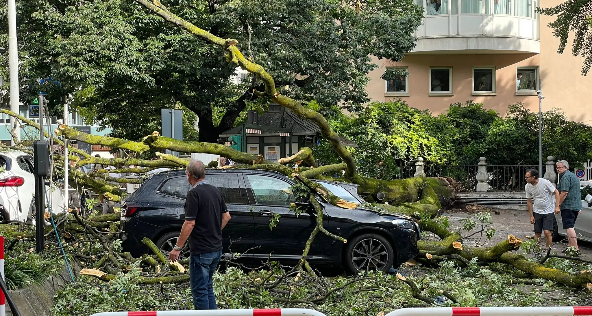 Crolla un albero secolare in centro a Bolzano: un ferito