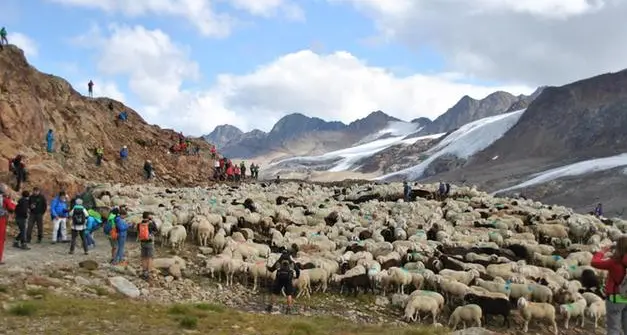 L’antico rito della transumanza dall’Ötztal alla val Senales