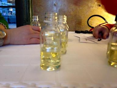 Cna, riconoscere il mastro oleario per valorizzare la qualità dell'olio