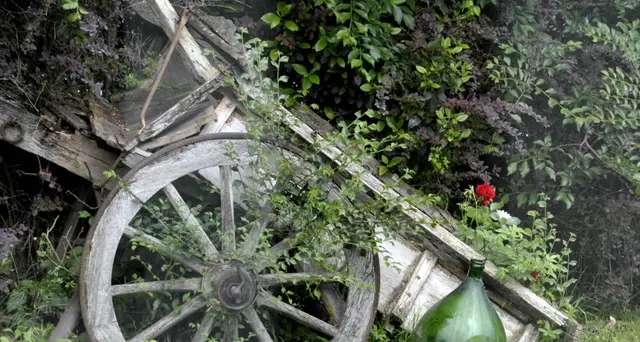 Pasqua:Agriturist,pienone in campagna per pranzo e pasquetta