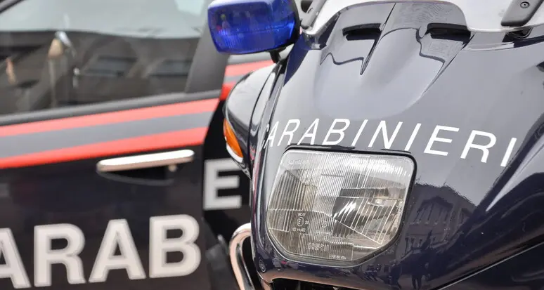 Due cani randagi uccisi con colpi di arma da fuoco a Sciacca