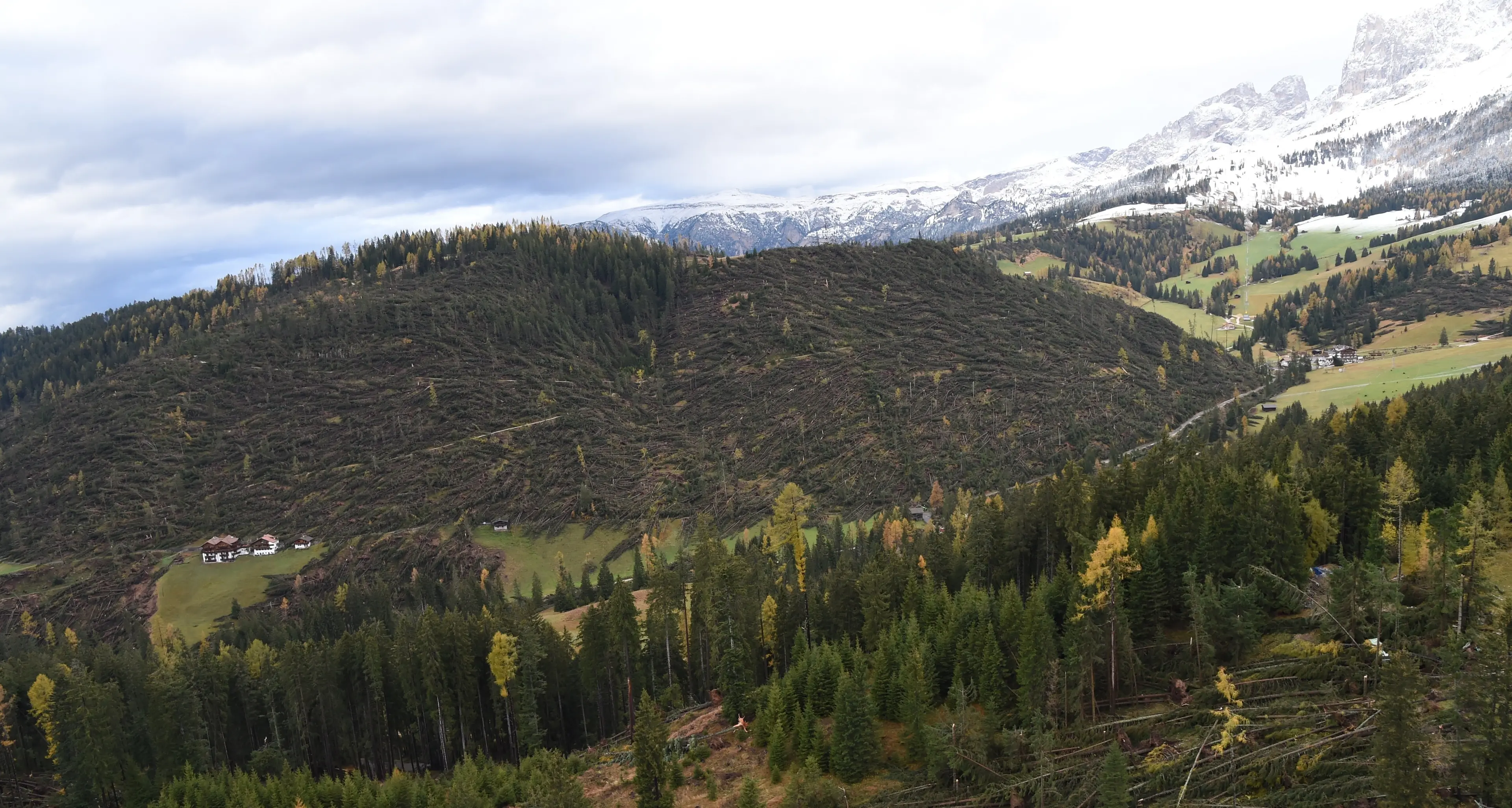 Tempesta Vaia, cinque anni fa lo tsunami che devastò le Dolomiti