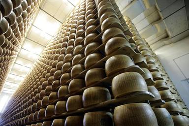 Assolatte, Italia primo esportatore Ue di formaggi in Brasile, Mercosur è opportunità
