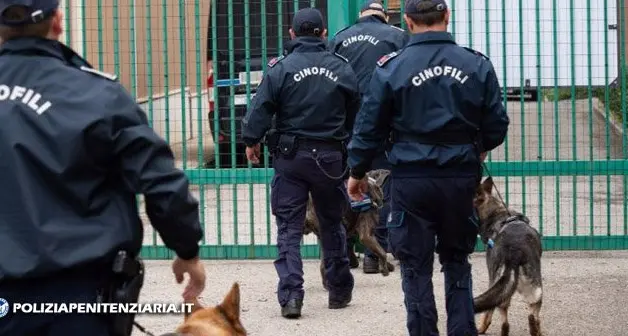 Bolzano, controlli in carcere con le unità cinofile veronesi