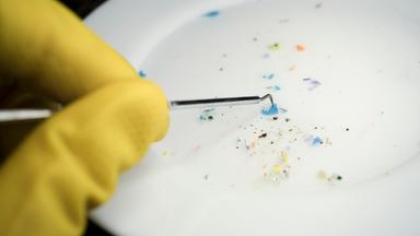 Microplastiche nel sistema nervoso, si apre una nuova pista sulla Sla