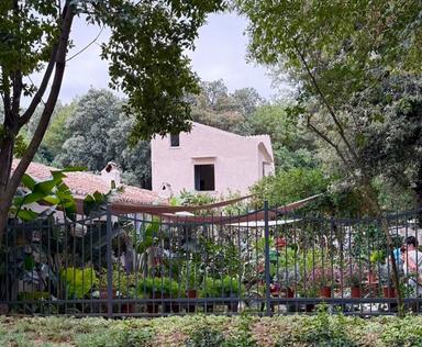 Si inaugura il 14 ottobre 'Il giardino della Camelia' nella Reggia di Caserta