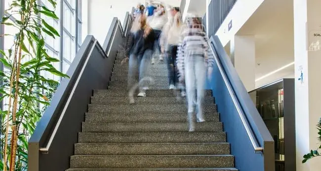 Valzer dei dirigenti scolastici in Alto Adige: coinvolti sei istituti italiani