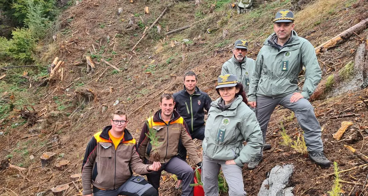 Cinque anni fa Vaia, poi il bostrico: distrutti 30mila ettari di bosco. Ora latifoglie al posto di pini e abeti