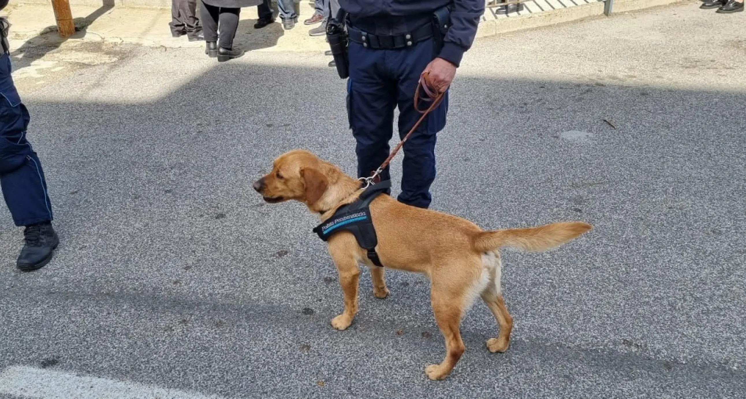 Droga in carcere: in corso operazione, oltre cento indagati