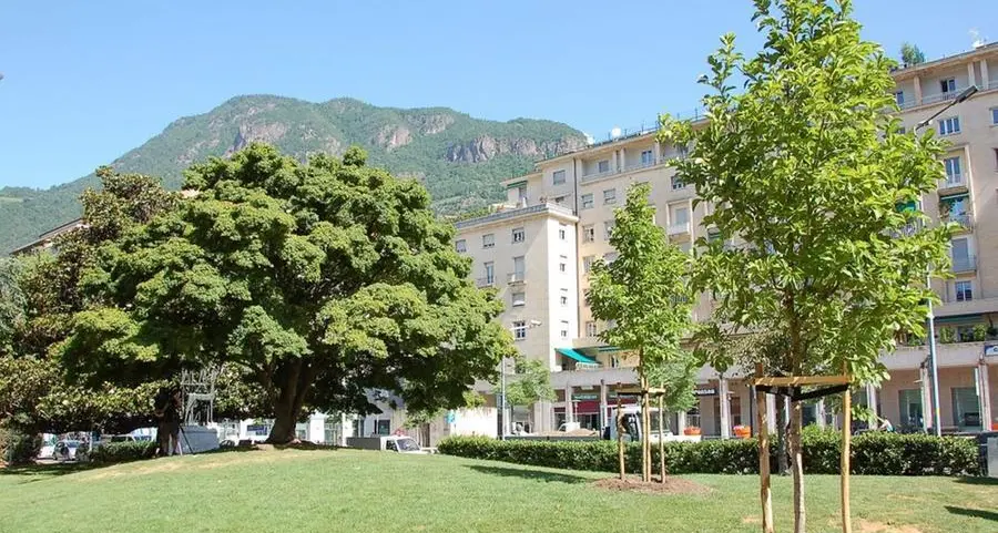 Bolzano, 105 nuovi alberi per vie e parchi cittadini