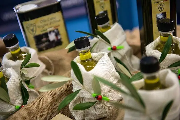 Vademecum salva-olio extravergine, caldo, luce e ossigeno i tre nemici dell'estate