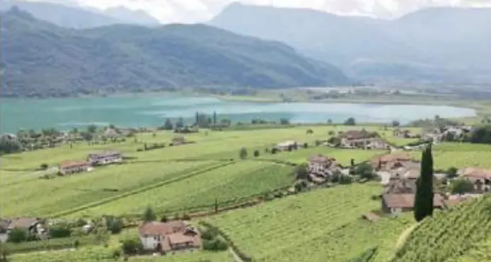 Bus bloccato da un'auto in sosta a Caldaro: la protesta dell'autista finisce con lo spray in faccia