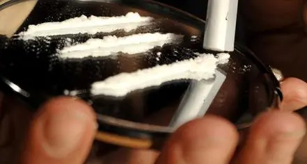 Bolzano la città dove si consuma più cocaina