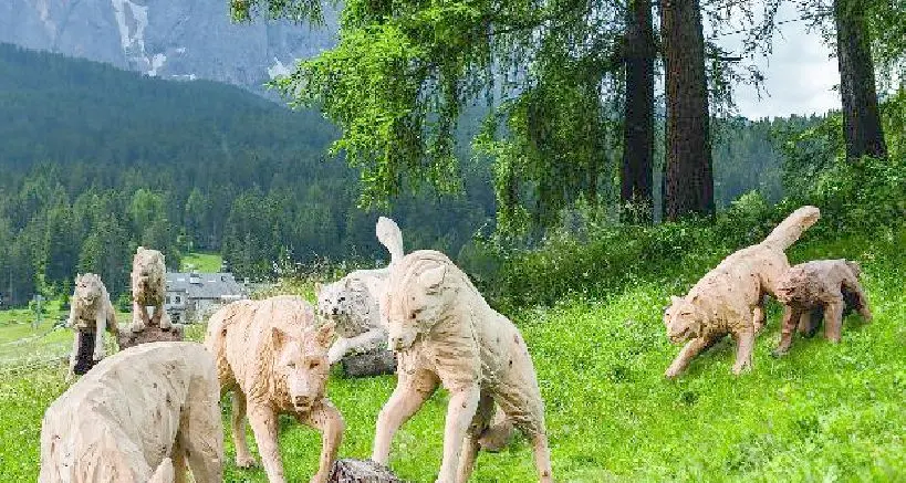 Selva Gardena, i lupi di legno Unika “esiliati” dal paese: «Turbano i turisti»