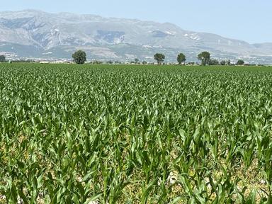 Innovazione in agricoltura, Agea e Regioni Abruzzo e Campania a confronto