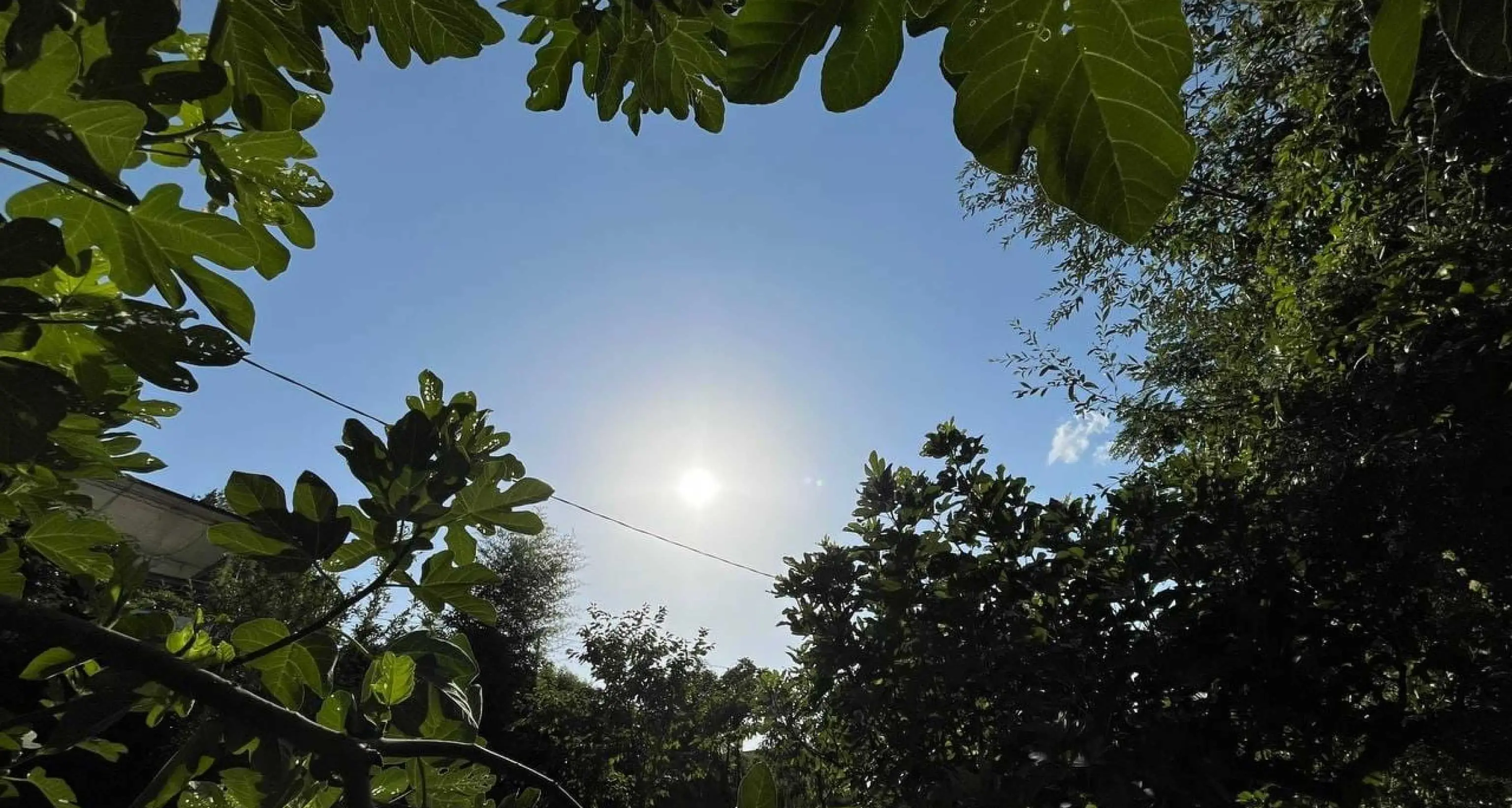 Temperature in risalita e picchi di 40 gradi, possibile svolta dal 17 agosto