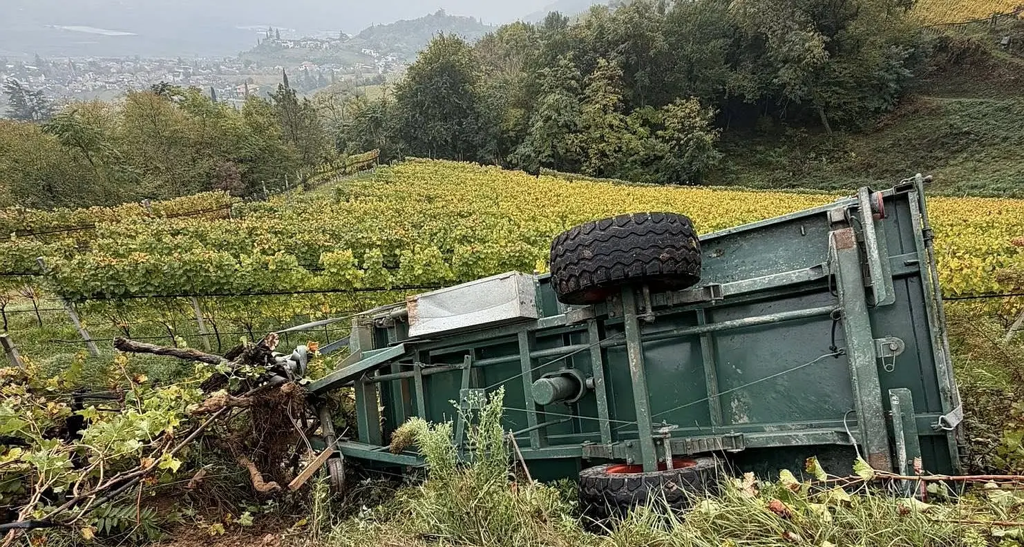 Rimorchio si ribalta in un frutteto a Sella, intervengono i vigili del fuoco